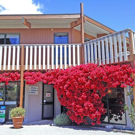 Picton Campervan Park Εξωτερικό φωτογραφία